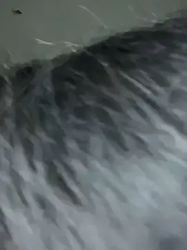 Stripchat Free Porn Cam of TinyBlazian901