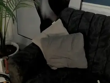 Stripchat Best Webcam of Skyyle_