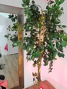 Stripchat Free Porn Cam of AlinnaRosee_