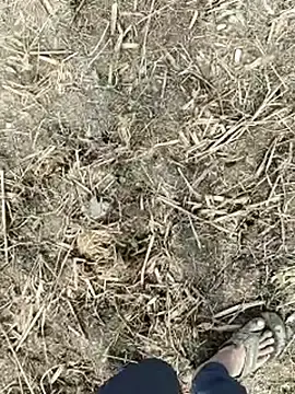 Stripchat Live Sex of ThethunderPo