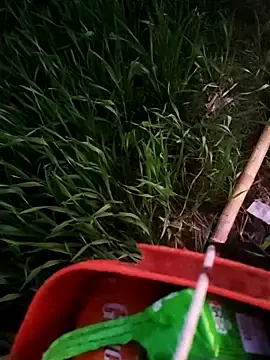 Stripchat Live Sex of ThethunderPo