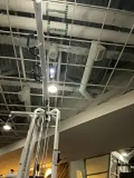 Stripchat Free Live Porn of choclatepeaach