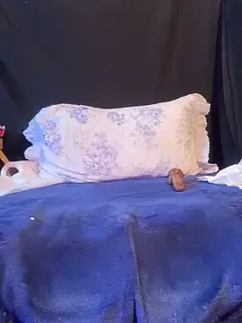 Stripchat Sex Chat of veyolla_betsh