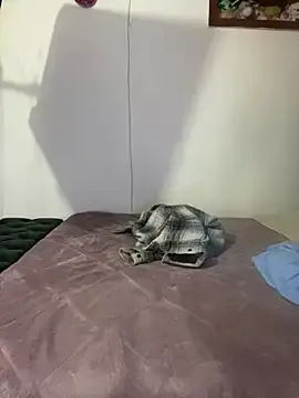 Stripchat Live Sex of CristalGmez