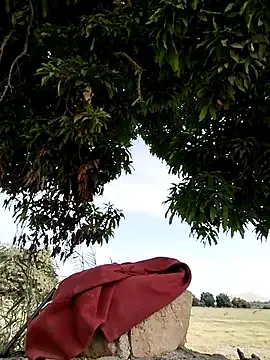 Stripchat Private Sex Chat of Clery_lin