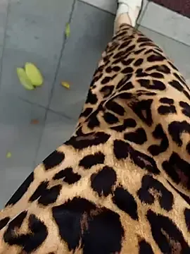 Stripchat Free Porn Cam of littleqiu