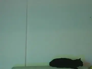 Stripchat Best Webcam of BubbleGumm_