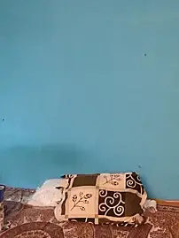 Stripchat Watch Live Sex Cams of sexy42couple