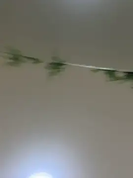 Stripchat Adult Webcam of IsabellaAllen