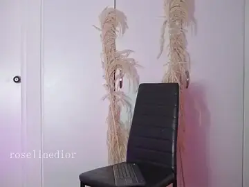 Stripchat Adult Webcam of roselinedior