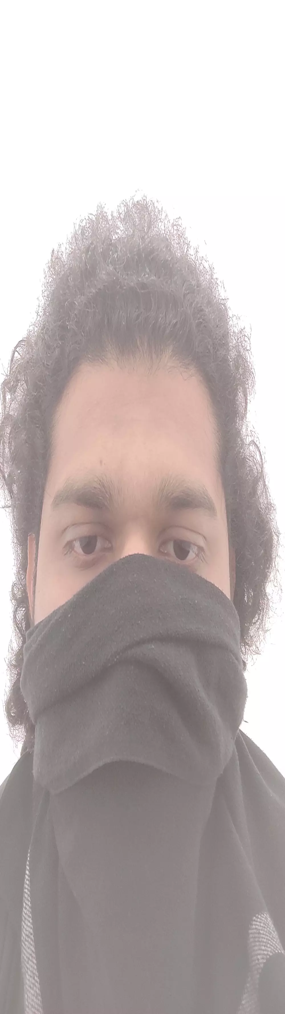 Vikingz24