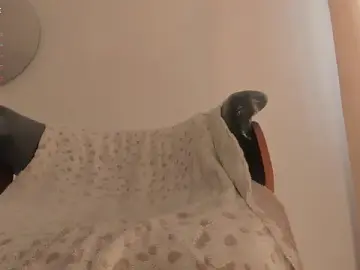 Stripchat Best live sex cam show of isabelsexysmile_