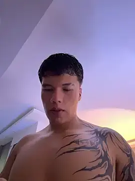 Stripchat Nude Webcam of Logan_smith1