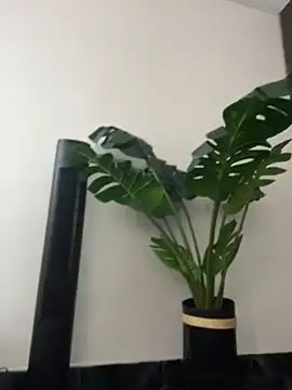 Stripchat Live Sex of SweetCheeksXXX