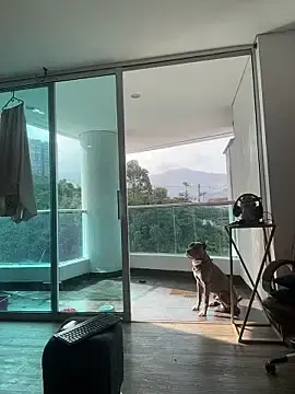 Stripchat Watch Live Sex Cams of Dominiofit