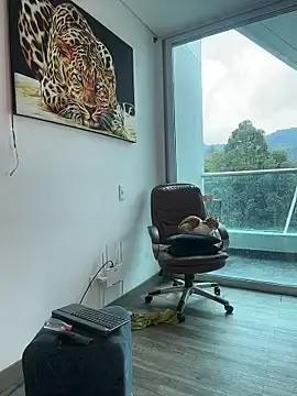 Stripchat Live Sex Cam of Dominiofit