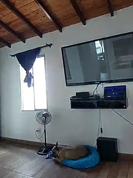 Stripchat Best Webcam of RachellGraham