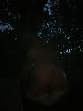 Stripchat Live Sex Cam of Mydreams69