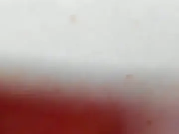 Stripchat Sex Cam of BritneyLix