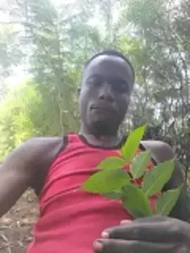 Stripchat Free Porn Cam of Javan_