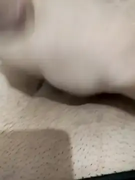 Stripchat Private Sex Chat of Beyefendistannbul