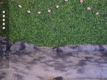 Stripchat Sex Cam of EkaterinaUpple