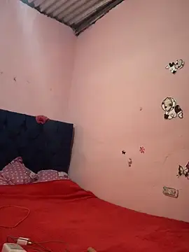 Stripchat Adult Webcams of sweet_morbid_hot