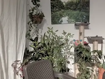 Stripchat Watch Live Sex Cams of sexnherbs