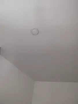 Stripchat Live Sex Cam of Dani_javi