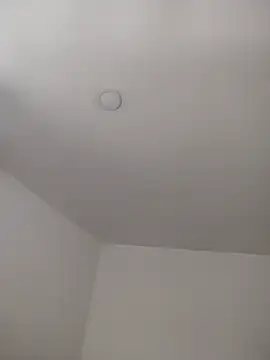 Stripchat Live Sex Cam of Dani_javi