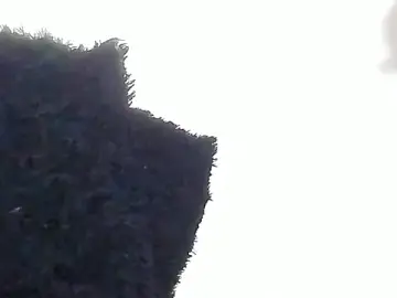 Stripchat Free Porn Cam of NicoleSantana