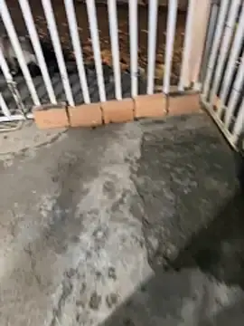 Stripchat Adult Webcam of Moom_evil1177