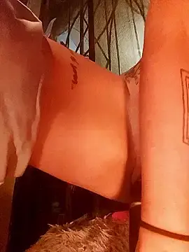 Stripchat Live Sex Cam of k_lebannon