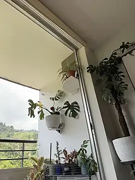 Stripchat Adult Webcams of SugarTroubl33