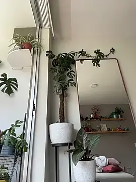 Stripchat Adult Webcam of SugarTroubl33