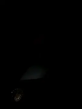 Stripchat Adult Video Chat of yourkeer