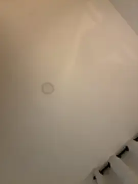 Stripchat Adult Webcams of Im_Valentina