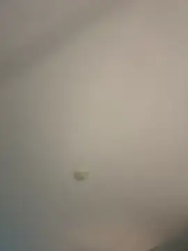 Stripchat Live Sex of Im_Valentina