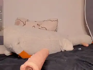 Stripchat Free Porn Cam of NeilRogers