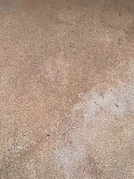 Stripchat Adult Webcams of boysquirt