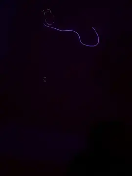 Stripchat Best live sex cam show of Flossy_Vettie