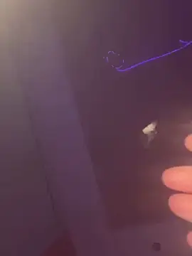 Stripchat Best live sex cam show of Flossy_Vettie