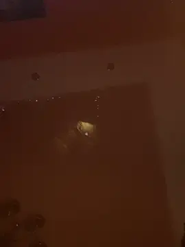 Stripchat Adult Webcam of Flossy_Vettie