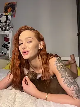 Stripchat Free Porn Cam of LittleFox___