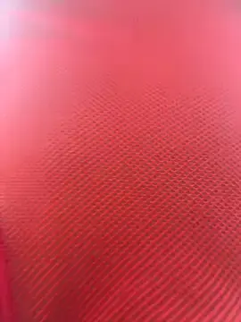 Stripchat Adult Video Chat of LikaCat