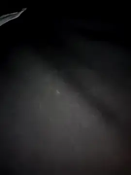 Stripchat Adult Video Chat of _nathaly_sweet