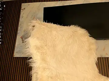 Stripchat Best Webcam of sally_009