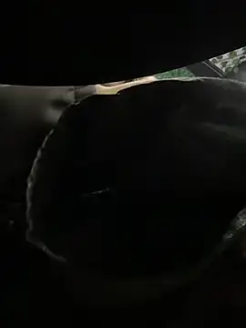 Stripchat Adult Video Chat of PumaShyXD