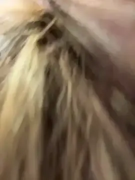 Stripchat Best live sex cam show of PumaShyXD