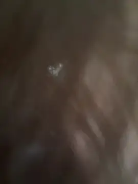 Stripchat Live Porn of PumaShyXD